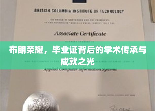 布朗荣耀，毕业证背后的学术传承与成就之光