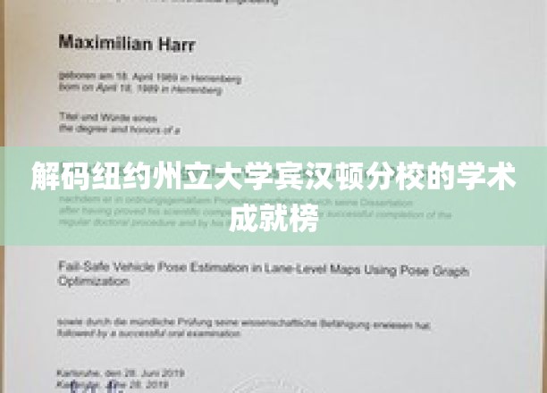 解锁宾汉顿分校的学术巅峰之路