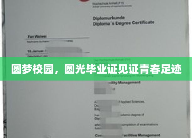 青春足迹，校园圆梦之旅，毕业证书见证荣耀时刻