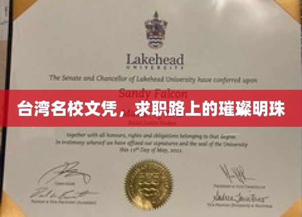 台湾名校光环，照亮求职征途璀璨人生