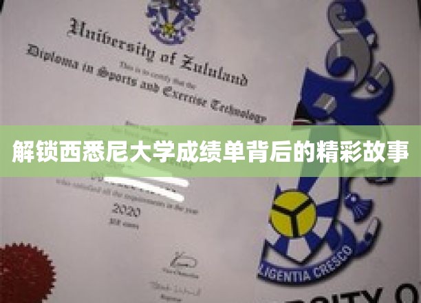 揭秘西悉尼大学成绩单，探寻学术成就背后的故事