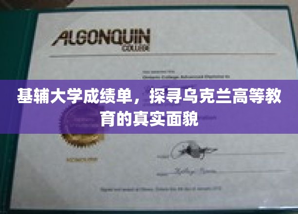 解码乌克兰精英教育，基辅大学成绩单背后的故事