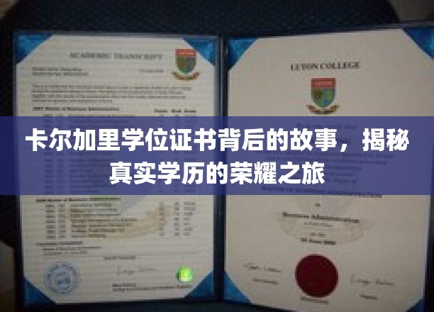 揭开卡尔加里学历证书的神秘面纱，一段荣耀之旅的幕后传奇