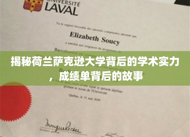 探秘荷兰萨克逊大学的学术魅力，揭秘学霸背后的奋斗足迹