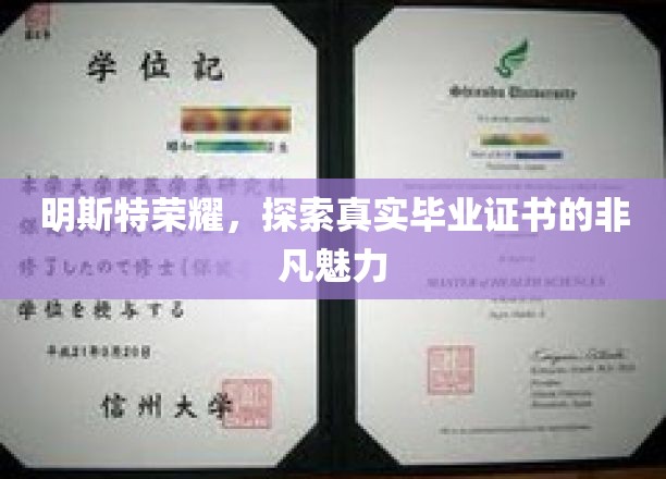 揭秘明斯特荣耀，毕业证书背后的独特魅力之旅