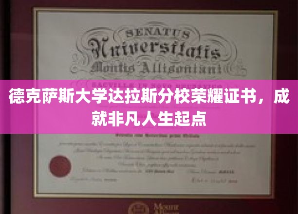 德克萨斯大学达拉斯分校荣耀证书，铸就非凡人生起点