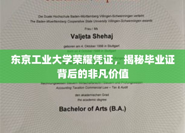 东京工业大学荣耀凭证，揭秘毕业证背后的非凡价值