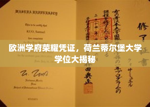 荷兰蒂尔堡大学学位，解锁欧洲顶尖学府的荣耀钥匙