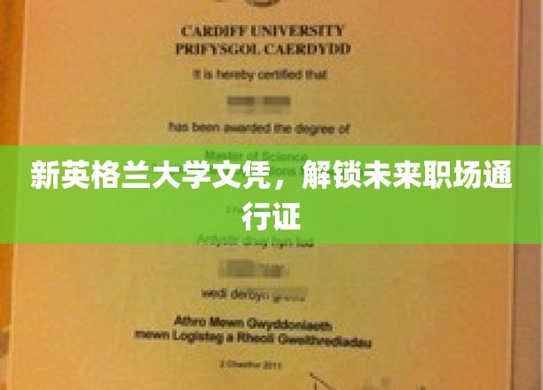新英格兰大学文凭，开启未来职场新篇章