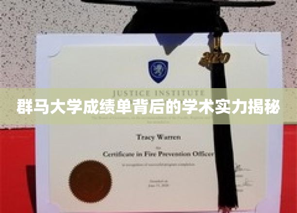 群马大学，揭秘隐藏在成绩单背后的卓越学术底蕴