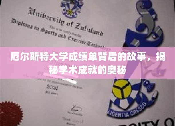 厄尔斯特大学成绩单背后的故事，揭秘学术成就的奥秘