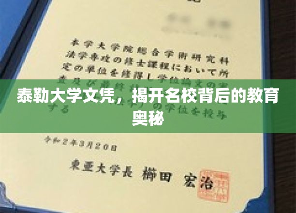 泰勒大学文凭，揭开名校背后的教育奥秘