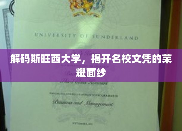 解码斯旺西大学，揭开名校文凭的荣耀面纱