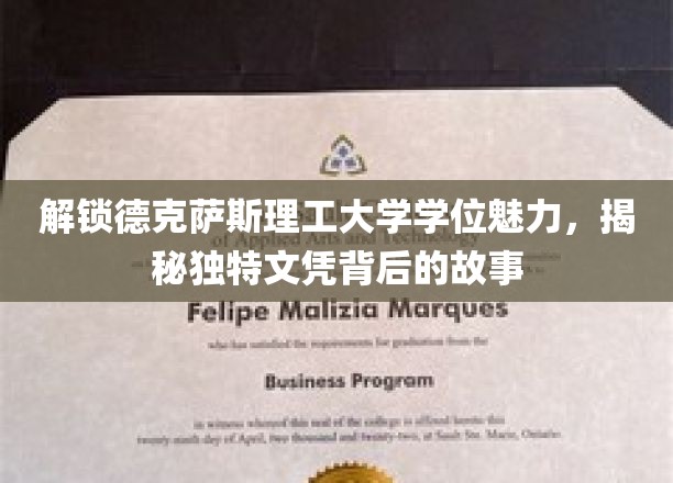 探寻德克萨斯理工大学学位之谜，一纸文凭背后的独特魅力