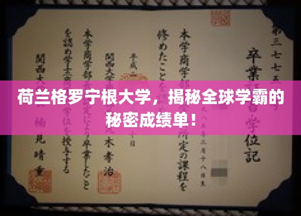 荷兰格罗宁根大学，揭秘全球学霸的秘密成绩单！