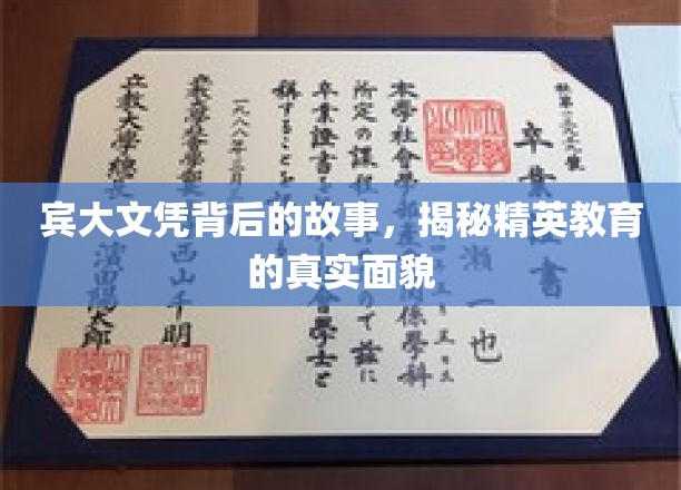 宾大文凭背后的故事，揭秘精英教育的真实面貌
