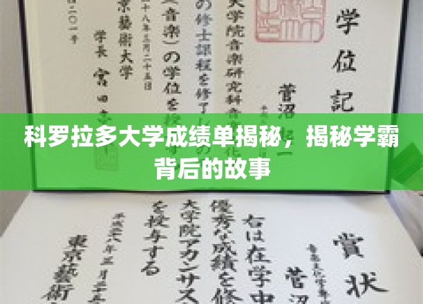 科罗拉多大学学霸养成记，揭秘顶尖学子背后的成长历程