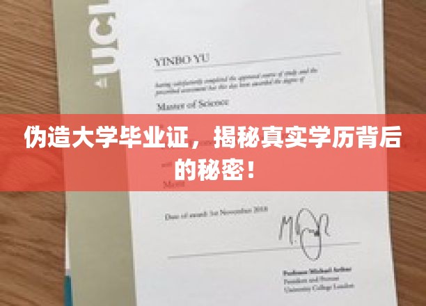 伪造学历揭秘，毕业证背后隐藏的真实学历之谜