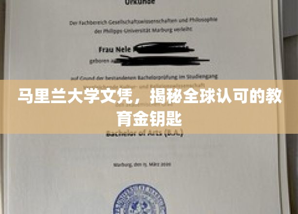 马里兰大学文凭，揭秘全球认可的教育金钥匙