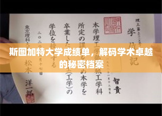 斯图加特学霸秘籍，一窥斯大成绩单背后的学术奥秘