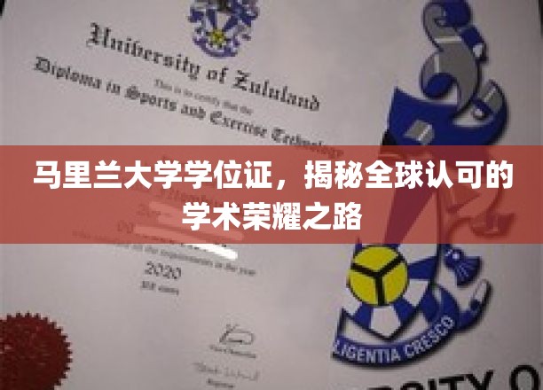 马里兰大学学位证，揭秘全球认可的学术荣耀之路