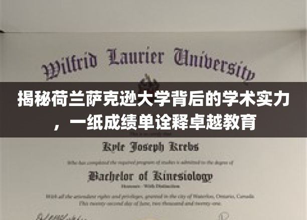 荷兰萨克逊大学，卓越教育成就，一纸成绩单见证学术辉煌