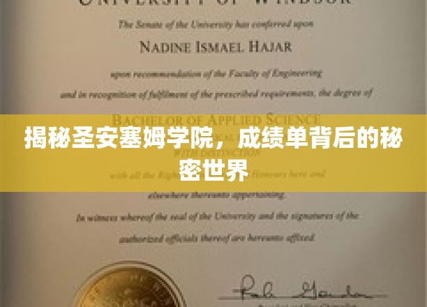 揭开圣安塞姆学院神秘面纱，成绩单背后的独特世界