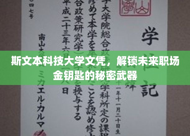 斯文本大学文凭，职场精英的神秘通行证