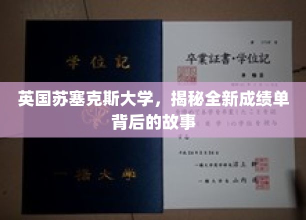 探寻苏塞克斯大学创新成绩单背后的非凡旅程