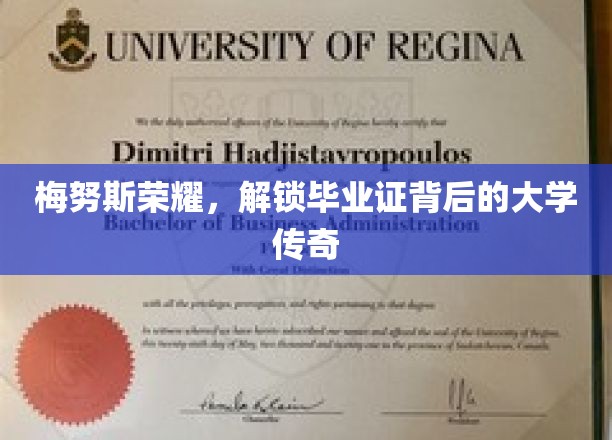 揭开梅努斯荣耀，探寻毕业证背后的神秘学府传奇