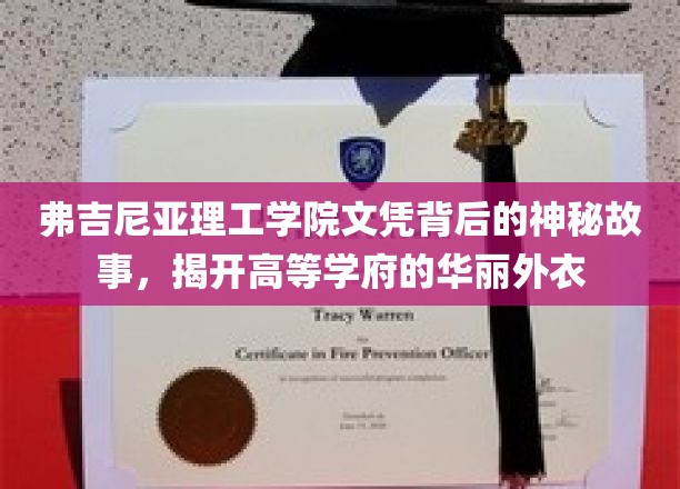 弗吉尼亚理工学院文凭背后的神秘故事，揭开高等学府的华丽外衣