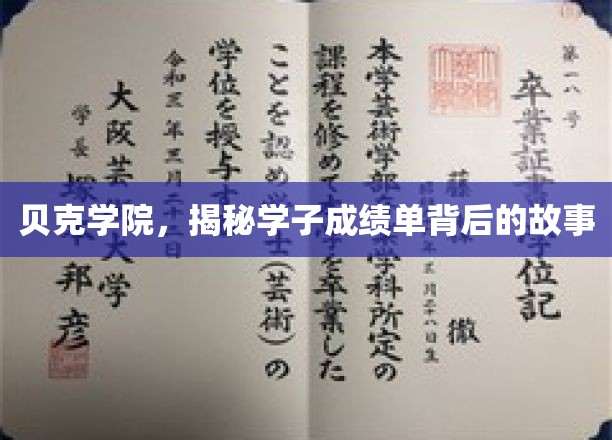 贝克学院学子成绩单，探寻背后的成长足迹