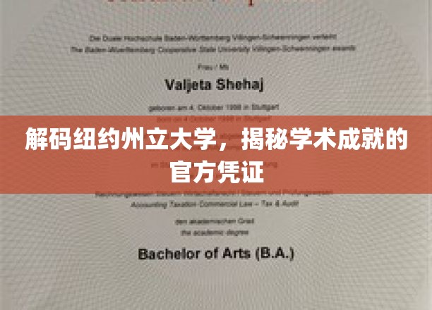 纽约州立大学成就揭秘，探寻官方证书背后的故事
