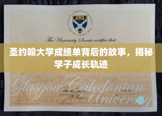 解码圣约翰，一纸成绩单背后的青春足迹