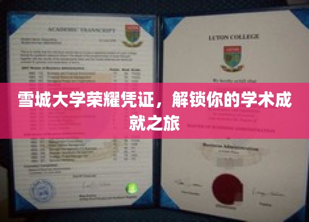 雪城荣耀通行证，开启你的学术成就探索之旅