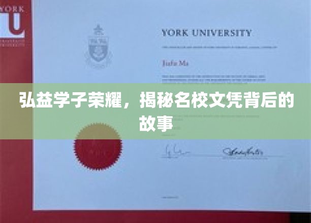弘益学子荣耀，揭秘名校文凭背后的故事