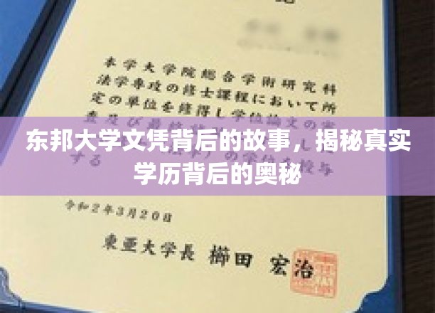 东邦大学文凭迷雾，探寻学历背后的不为人知真相