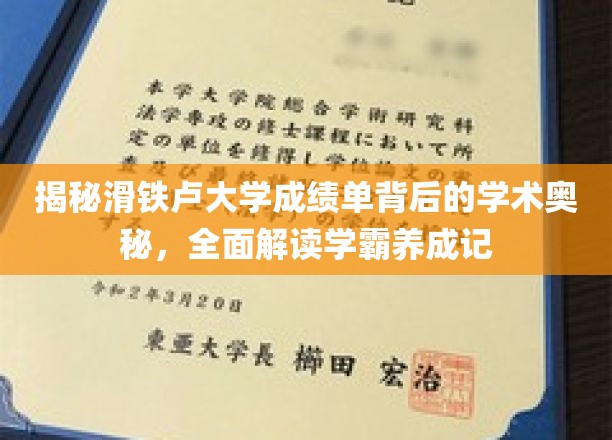 解码滑铁卢学霸养成之路，揭秘成绩单背后的学术智慧