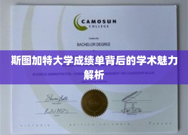 斯图加特大学成绩单背后的学术魅力解析