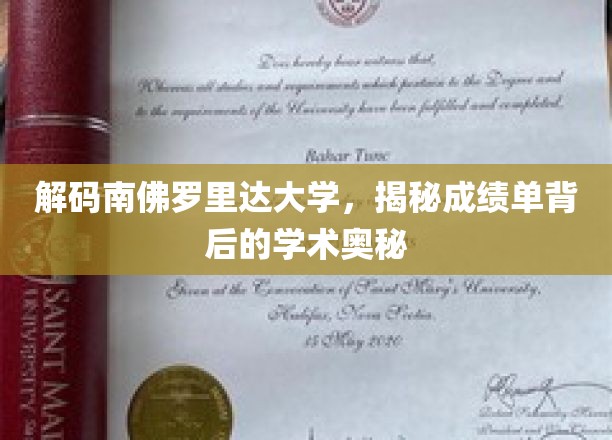 解码南佛罗里达大学，揭秘成绩单背后的学术奥秘