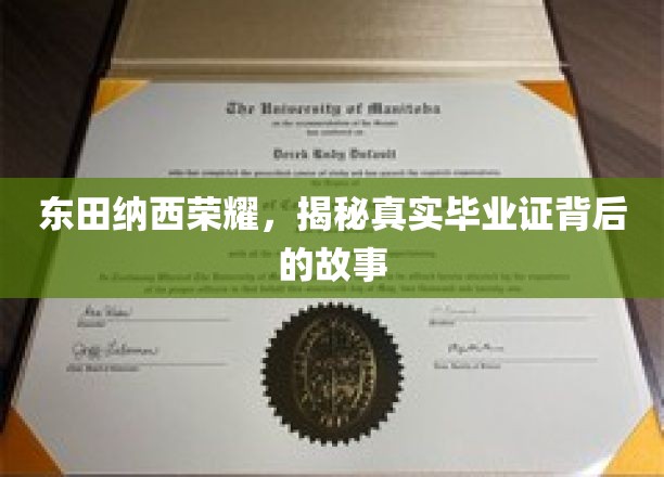 东田纳西荣耀，揭秘真实毕业证背后的故事
