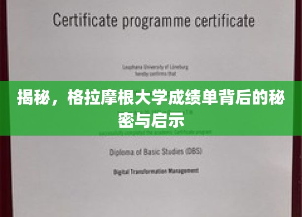 揭开格拉摩根大学成绩单的神秘面纱，探索背后的启示与价值