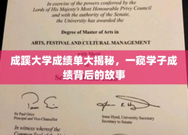 揭秘成蹊学子成绩单，背后的奋斗与汗水