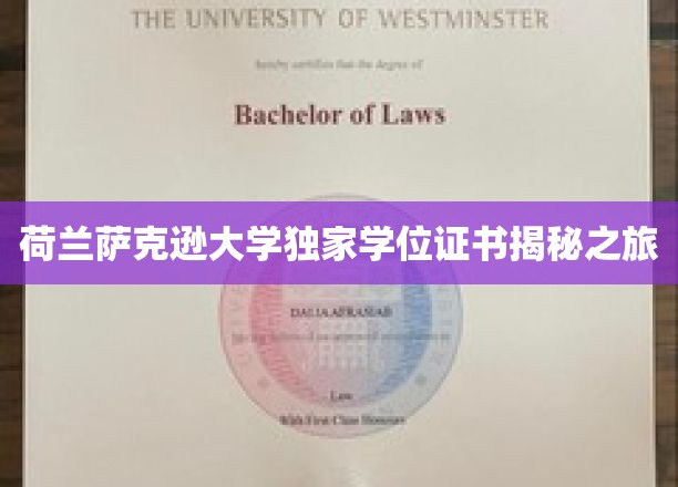 解锁荷兰萨克逊大学神秘学位证书的探秘之旅