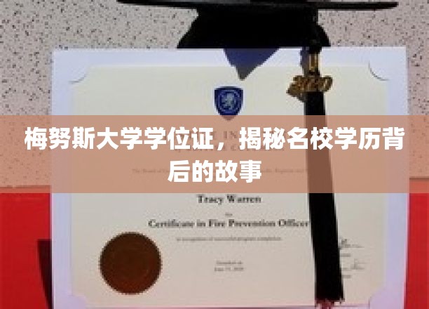 名校光环下的真实面纱，梅努斯大学学位证的背后传奇