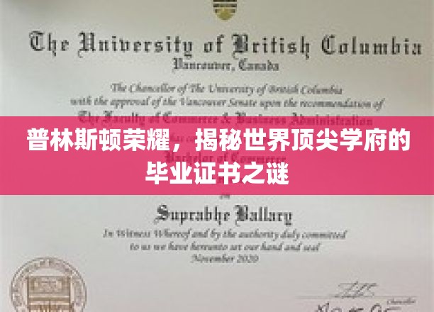 普林斯顿荣耀,揭秘世界顶尖学府的毕业证书之谜