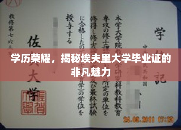埃夫里大学学历证书，揭秘背后的荣耀与非凡价值