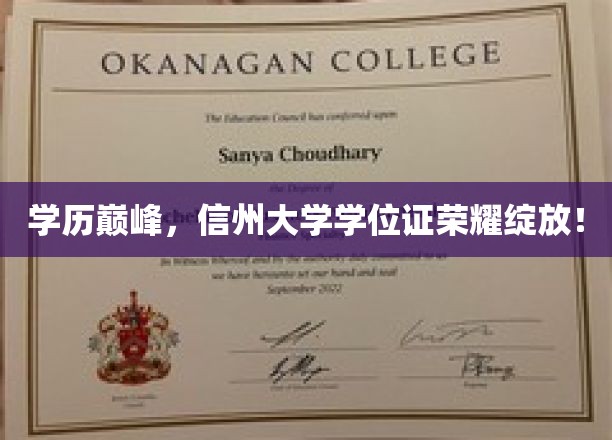 信州大学骄子荣耀，学位证闪耀，铸就学历巅峰时刻！