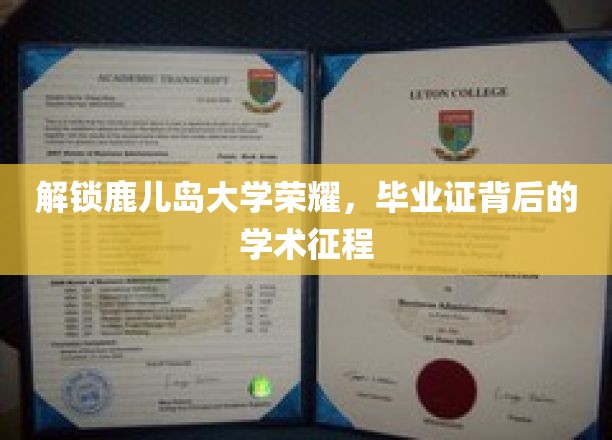 解锁鹿儿岛大学荣耀，毕业证背后的学术征程