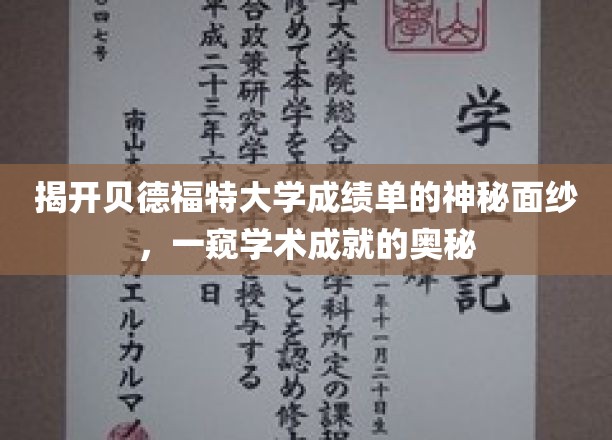 探寻贝德福特大学成绩单背后的学术秘密